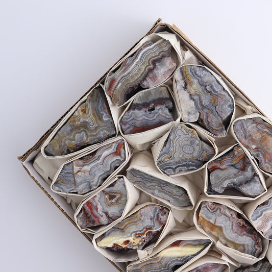 Crazy Lace Agate Flat of 17