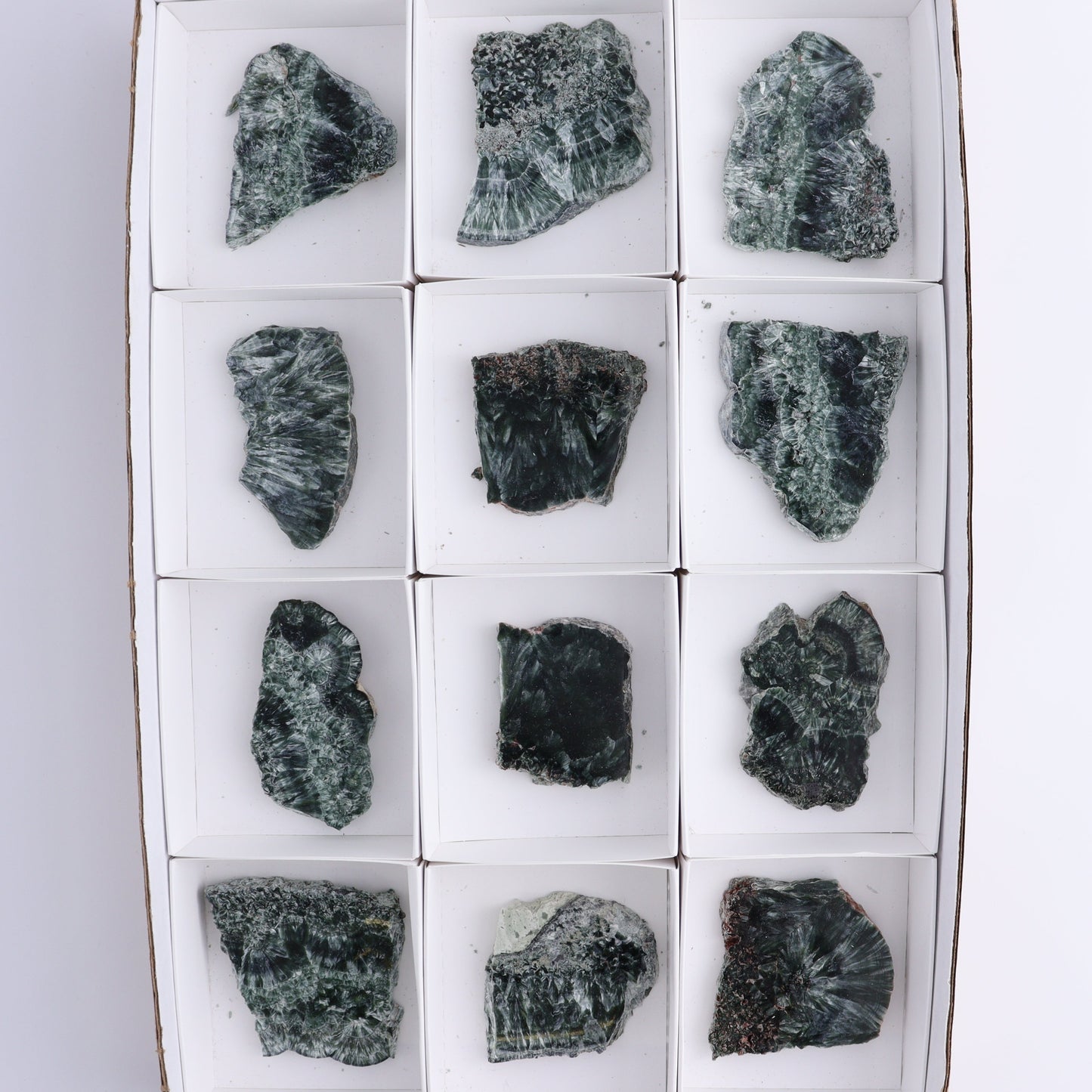 Seraphinite Slices Set of 12 - Expert Wholesale and Supplier of Wholesale Crystals & Bulk Gemstones, ["Russia","Seraphinite","Slices and Slabs"]
