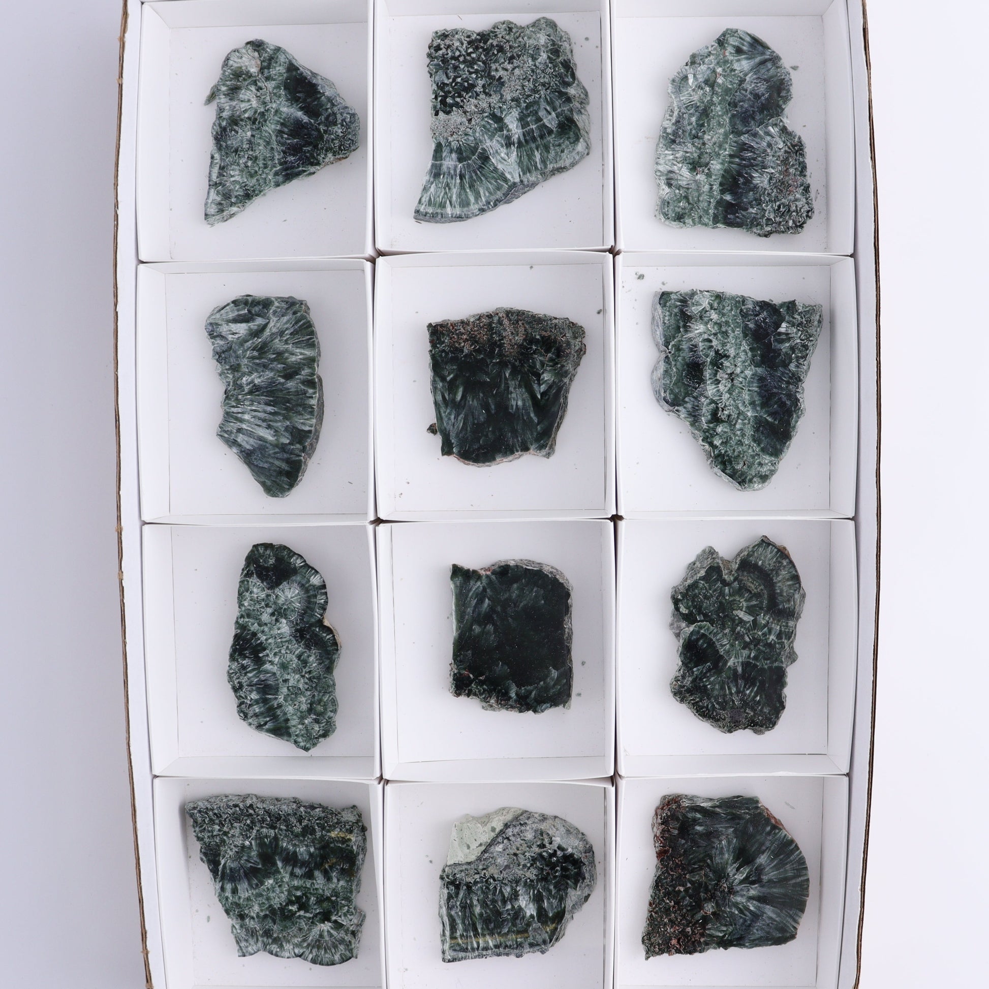 Seraphinite Slices Set of 12 - Expert Wholesale and Supplier of Wholesale Crystals & Bulk Gemstones, ["Russia","Seraphinite","Slices and Slabs"]