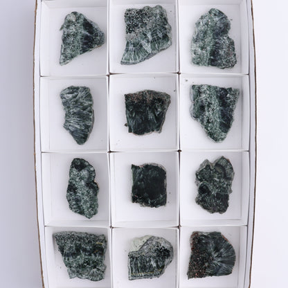 Seraphinite Slices Set of 12 - Expert Wholesale and Supplier of Wholesale Crystals & Bulk Gemstones, ["Russia","Seraphinite","Slices and Slabs"]