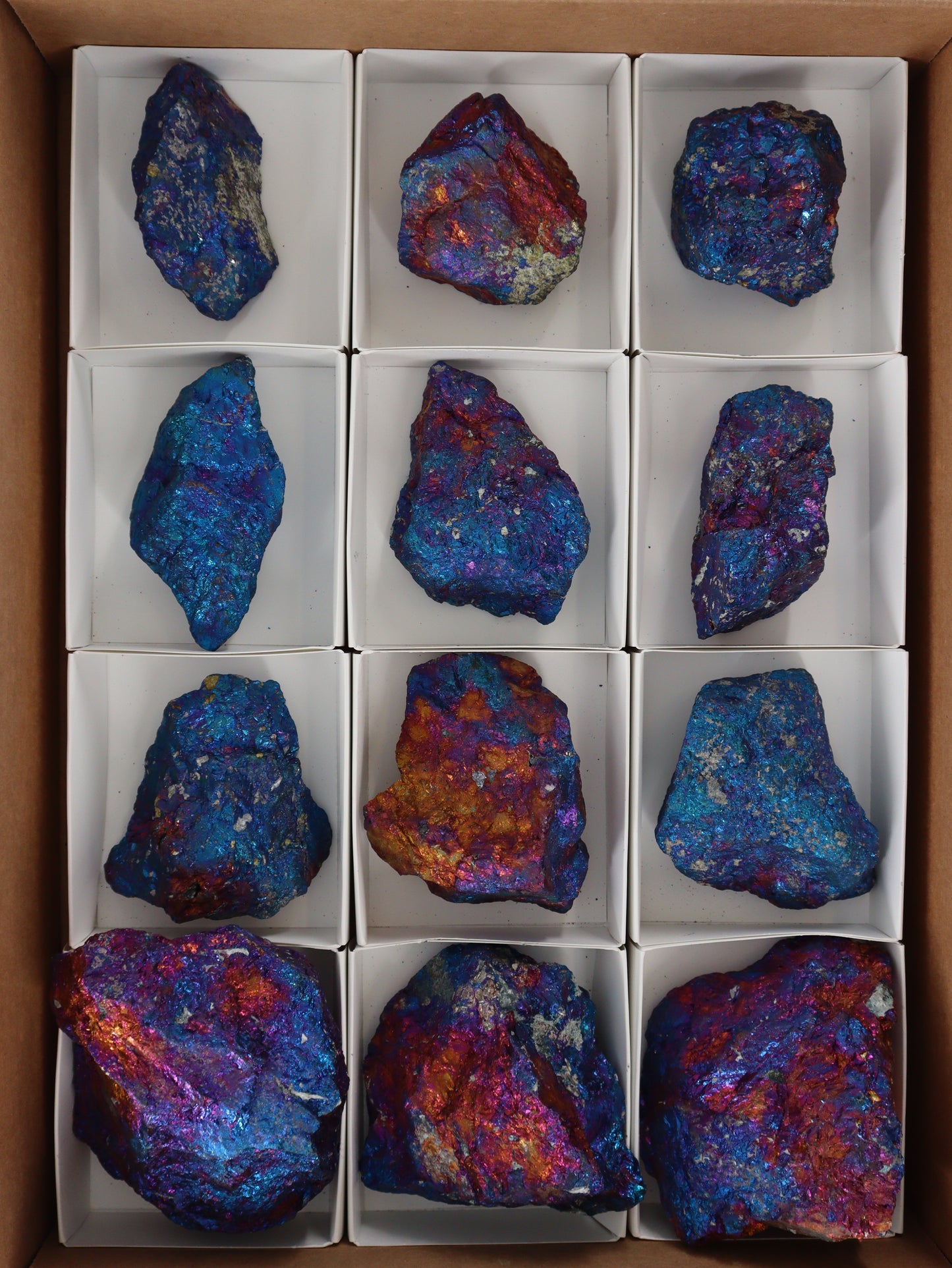 Chalcopyrite Flat - Expert Wholesale and Supplier of Wholesale Crystals & Bulk Gemstones, []