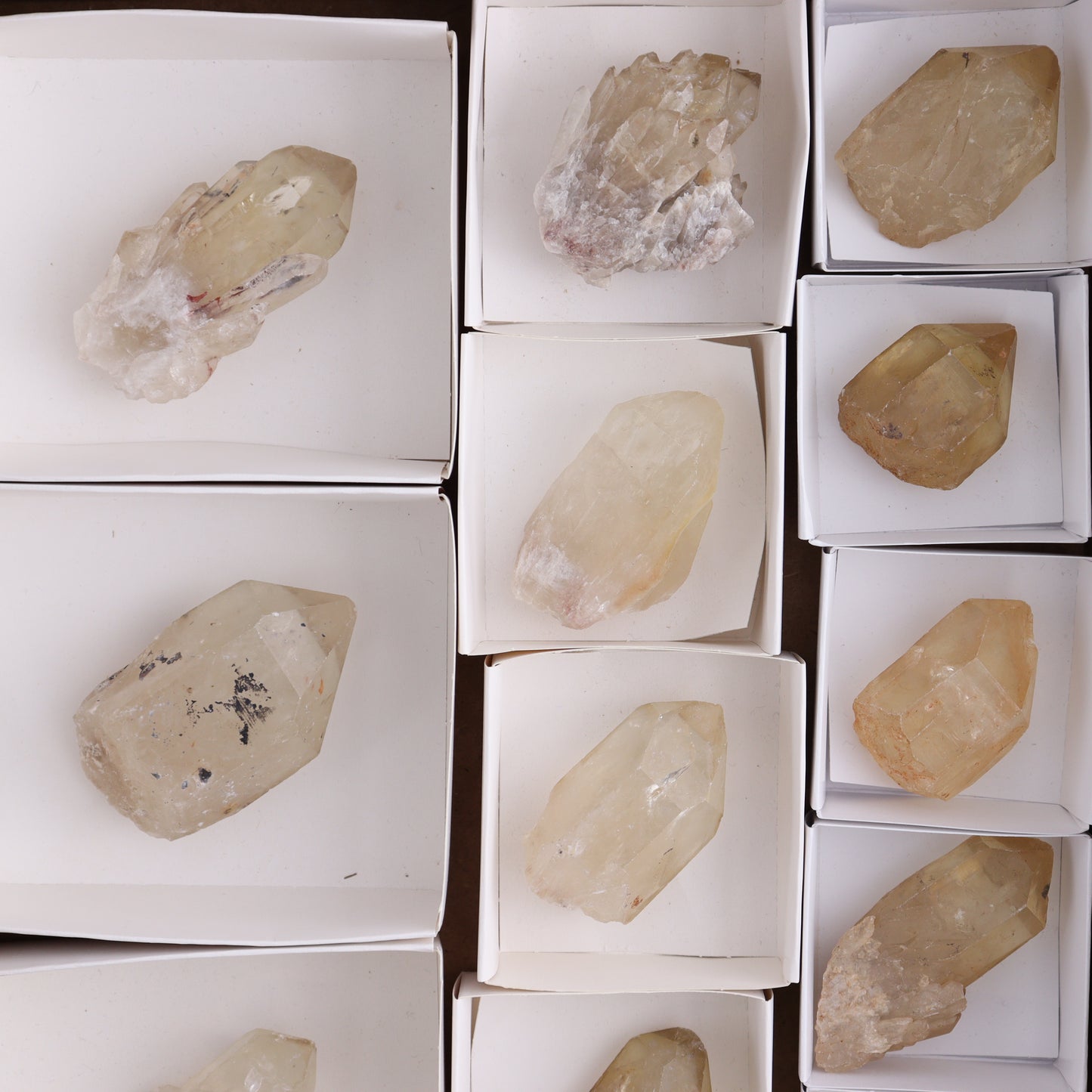 Congo Citrine Set of 12 - Expert Wholesale and Supplier of Wholesale Crystals & Bulk Gemstones, ["Citrine","Congo","Rough","Roughs"]