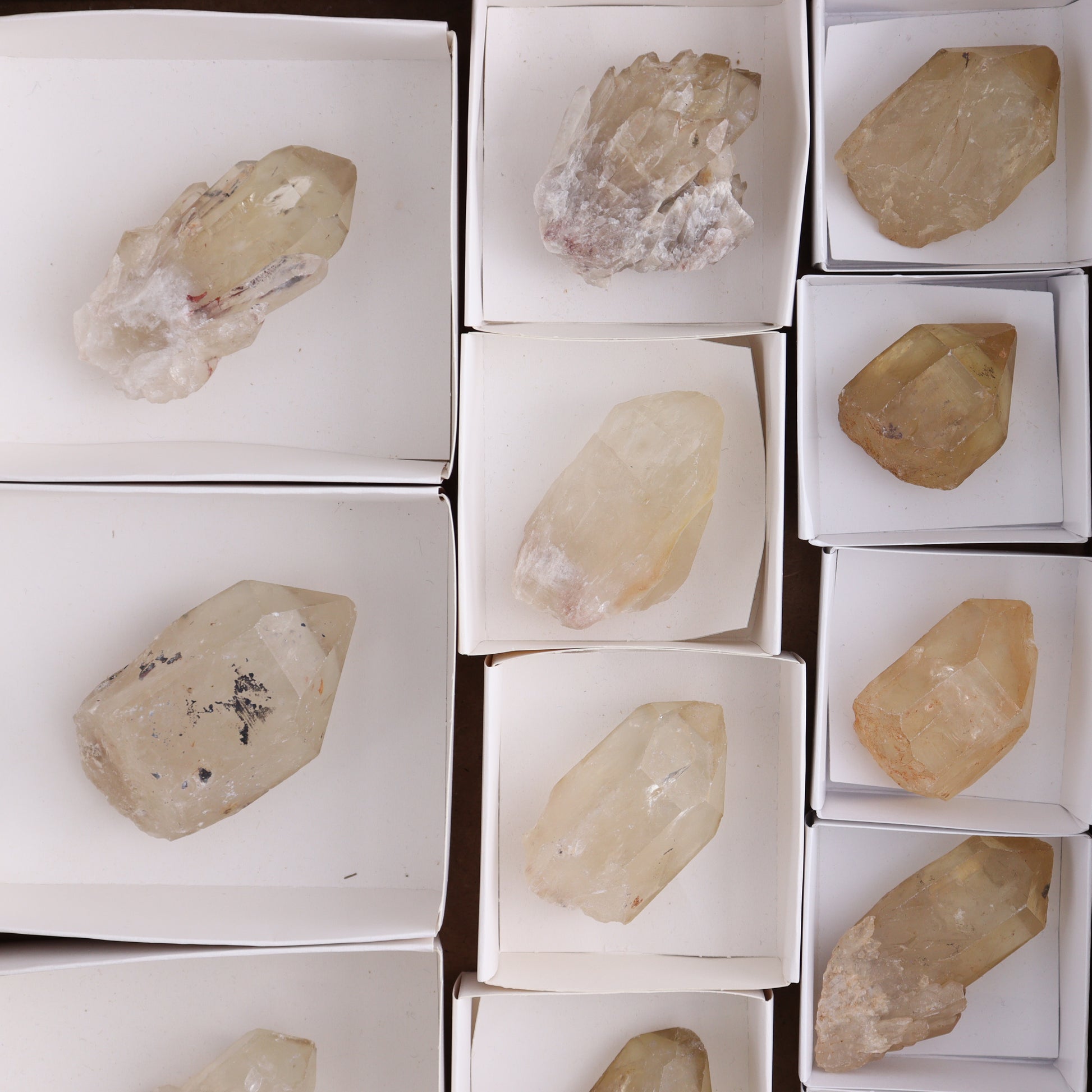 Congo Citrine Set of 12 - Expert Wholesale and Supplier of Wholesale Crystals & Bulk Gemstones, ["Citrine","Congo","Rough","Roughs"]