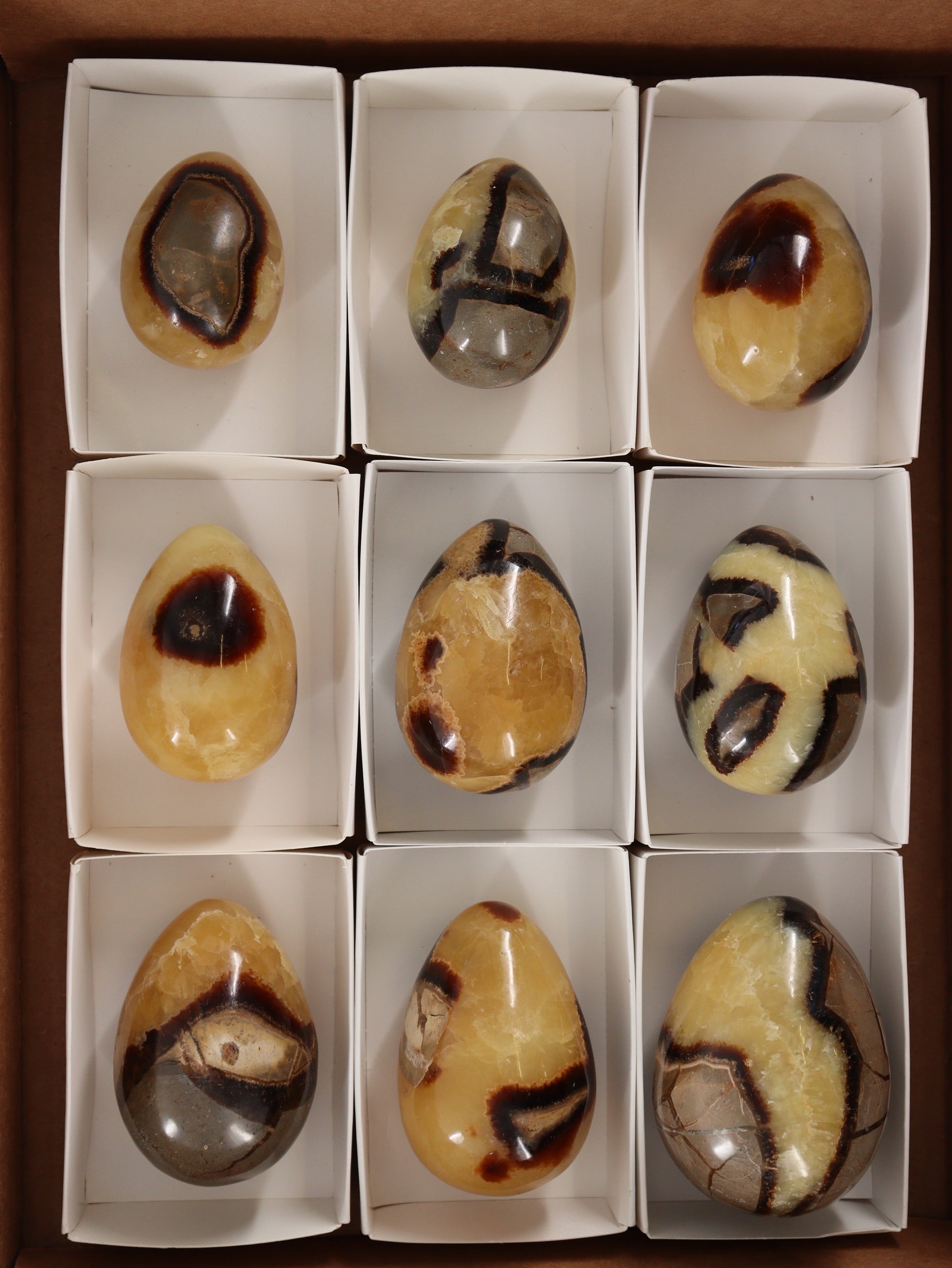 Septarian Eggs Set of 9 - Expert Wholesale and Supplier of Wholesale Crystals & Bulk Gemstones, []