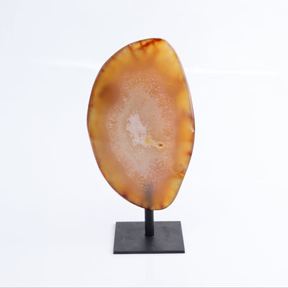 Agate on Pins Set of 4 - Expert Wholesale and Supplier of Wholesale Crystals & Bulk Gemstones, ["Agate","Brazil","close_50","On Pins"]