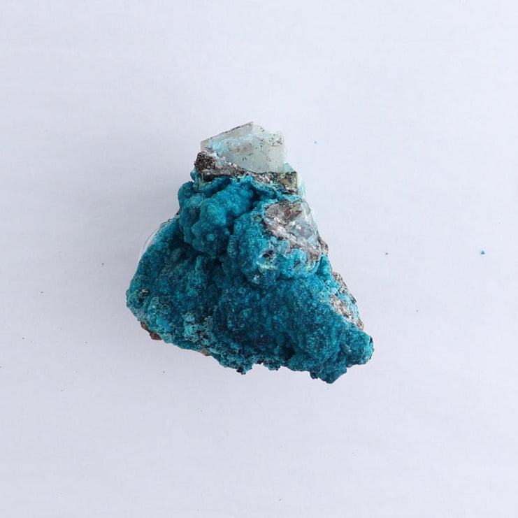 Chrysocolla on Quartz Roughs Set of 6