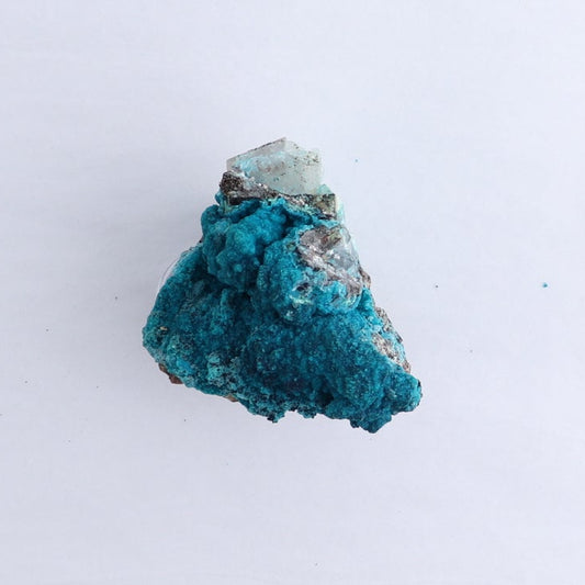 Chrysocolla on Quartz Roughs Set of 6