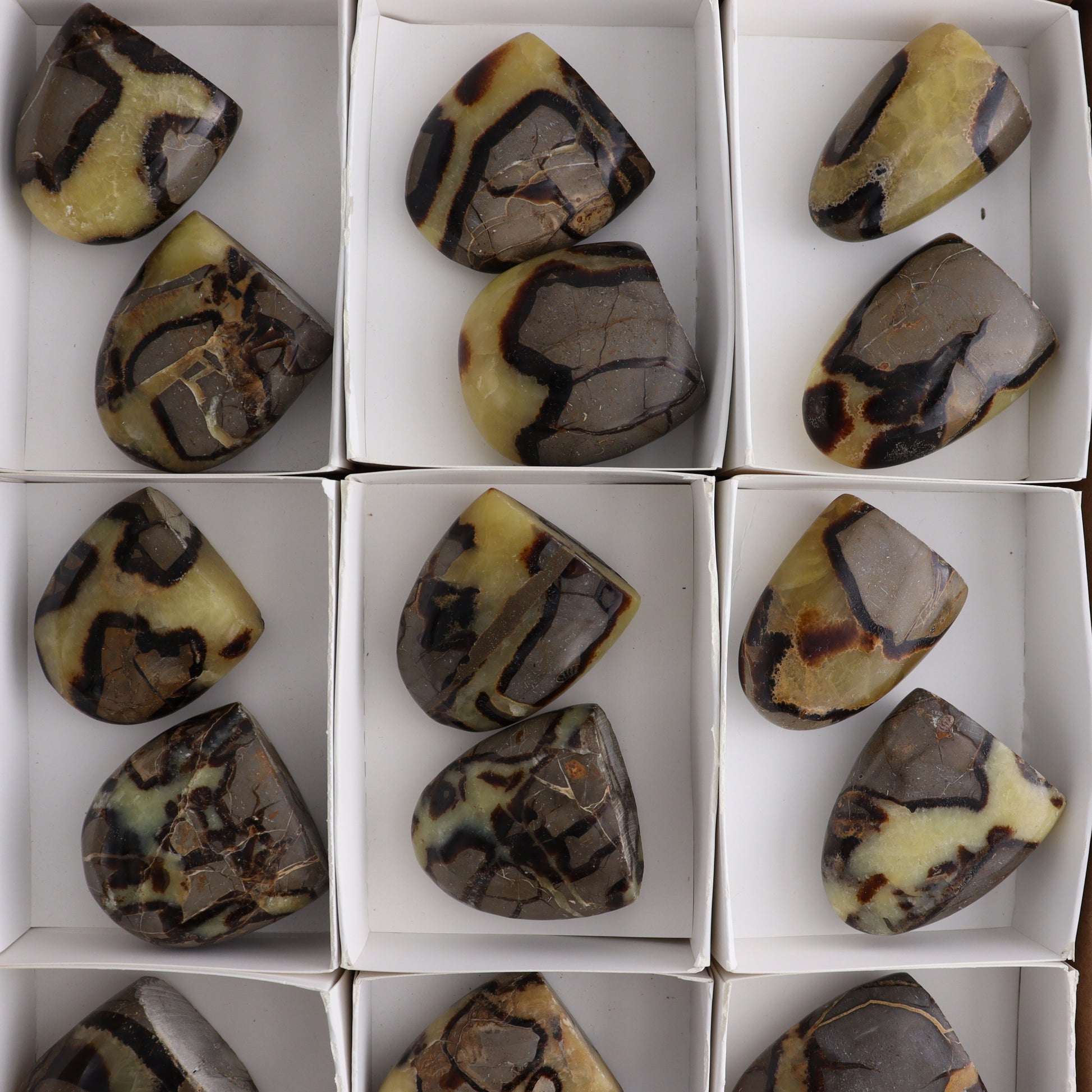 Septarian Freeforms Set of 18 - Expert Wholesale and Supplier of Wholesale Crystals & Bulk Gemstones, ["Flats","Freeforms","Madagascar","Septarian"]