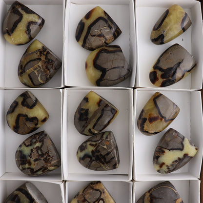 Septarian Freeforms Set of 18 - Expert Wholesale and Supplier of Wholesale Crystals & Bulk Gemstones, ["Flats","Freeforms","Madagascar","Septarian"]