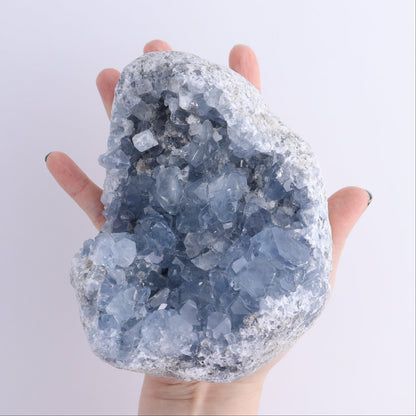 Celestite Clusters Set of 4