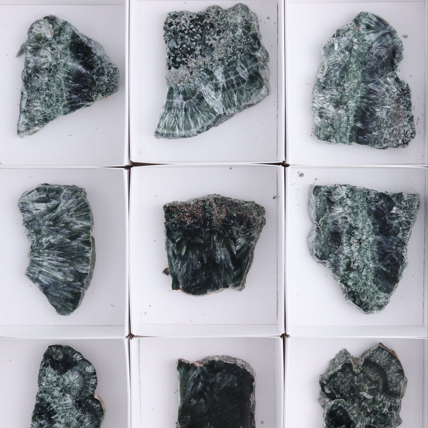 Seraphinite Slices Set of 12 - Expert Wholesale and Supplier of Wholesale Crystals & Bulk Gemstones, ["Russia","Seraphinite","Slices and Slabs"]