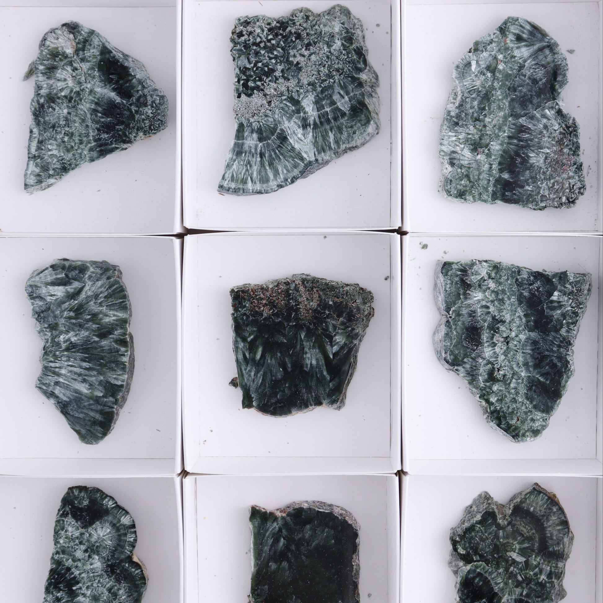 Seraphinite Slices Set of 12 - Expert Wholesale and Supplier of Wholesale Crystals & Bulk Gemstones, ["Russia","Seraphinite","Slices and Slabs"]