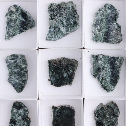 Seraphinite Slices Set of 12 - Expert Wholesale and Supplier of Wholesale Crystals & Bulk Gemstones, ["Russia","Seraphinite","Slices and Slabs"]