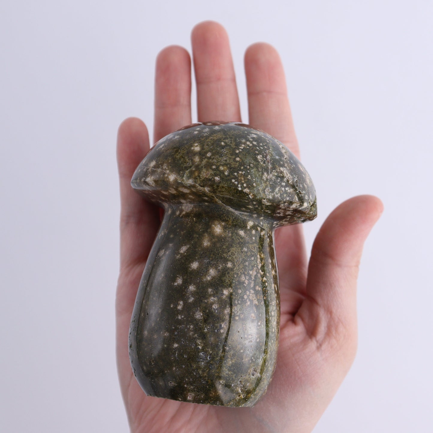 Ocean Jasper Mushrooms Set of 7 - Expert Wholesale and Supplier of Wholesale Crystals & Bulk Gemstones, ["jasper","Madagascar","Mushrooms","Ocean Jasper"]