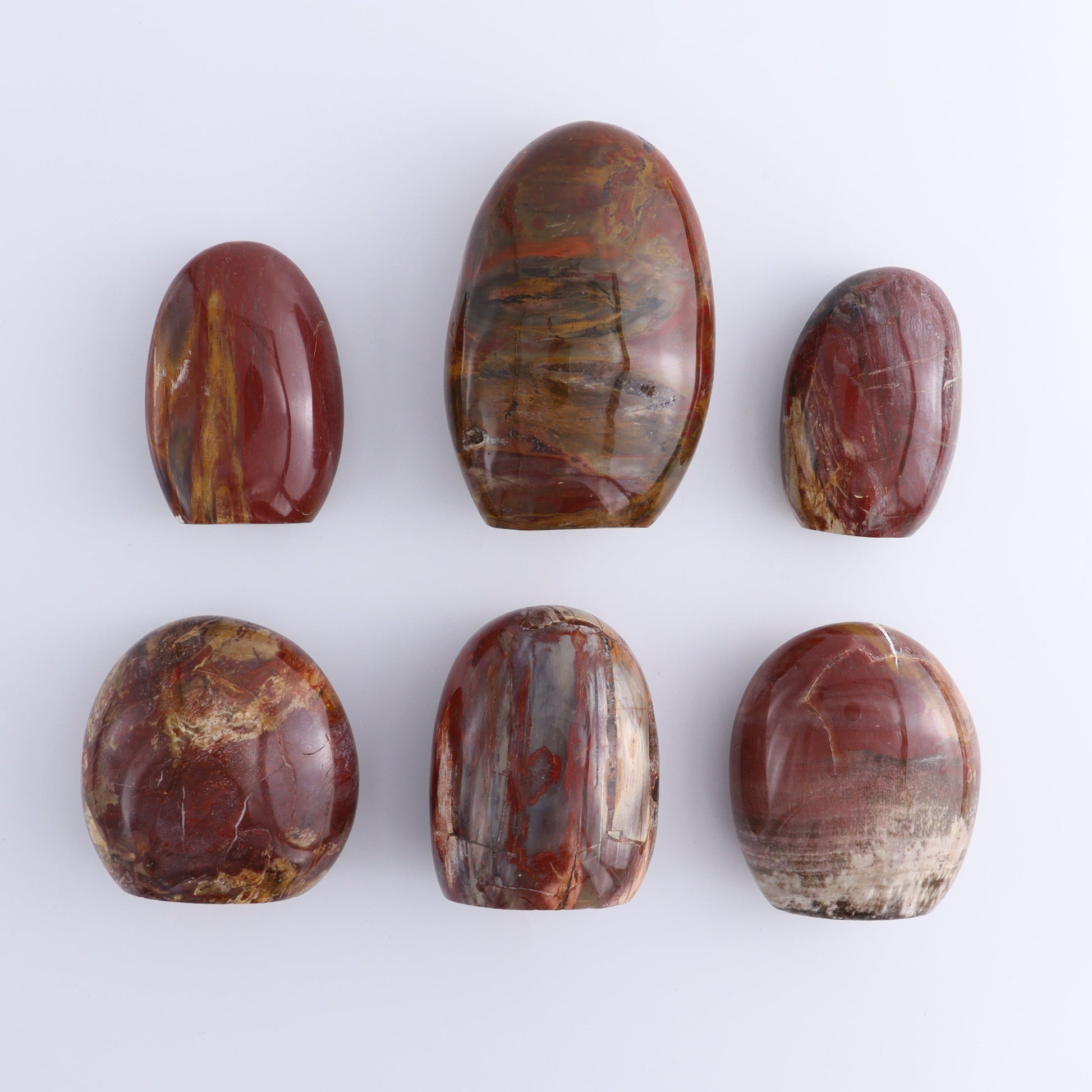 Petrified Wood Freeforms Set of 6 - Expert Wholesale and Supplier of Wholesale Crystals & Bulk Gemstones, ["Freeform","Freeforms","Madagascar","Petrified Wood"]