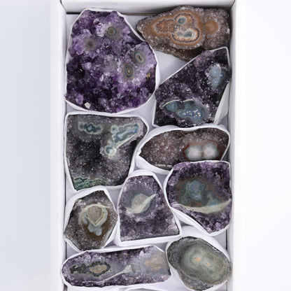 Uruguay Amethyst Clusters with "Eyes" Flat of 10 - Expert Wholesale and Supplier of Wholesale Crystals & Bulk Gemstones, ["Amethyst","Amethyst Eyes","Clusters","Uruguay"]