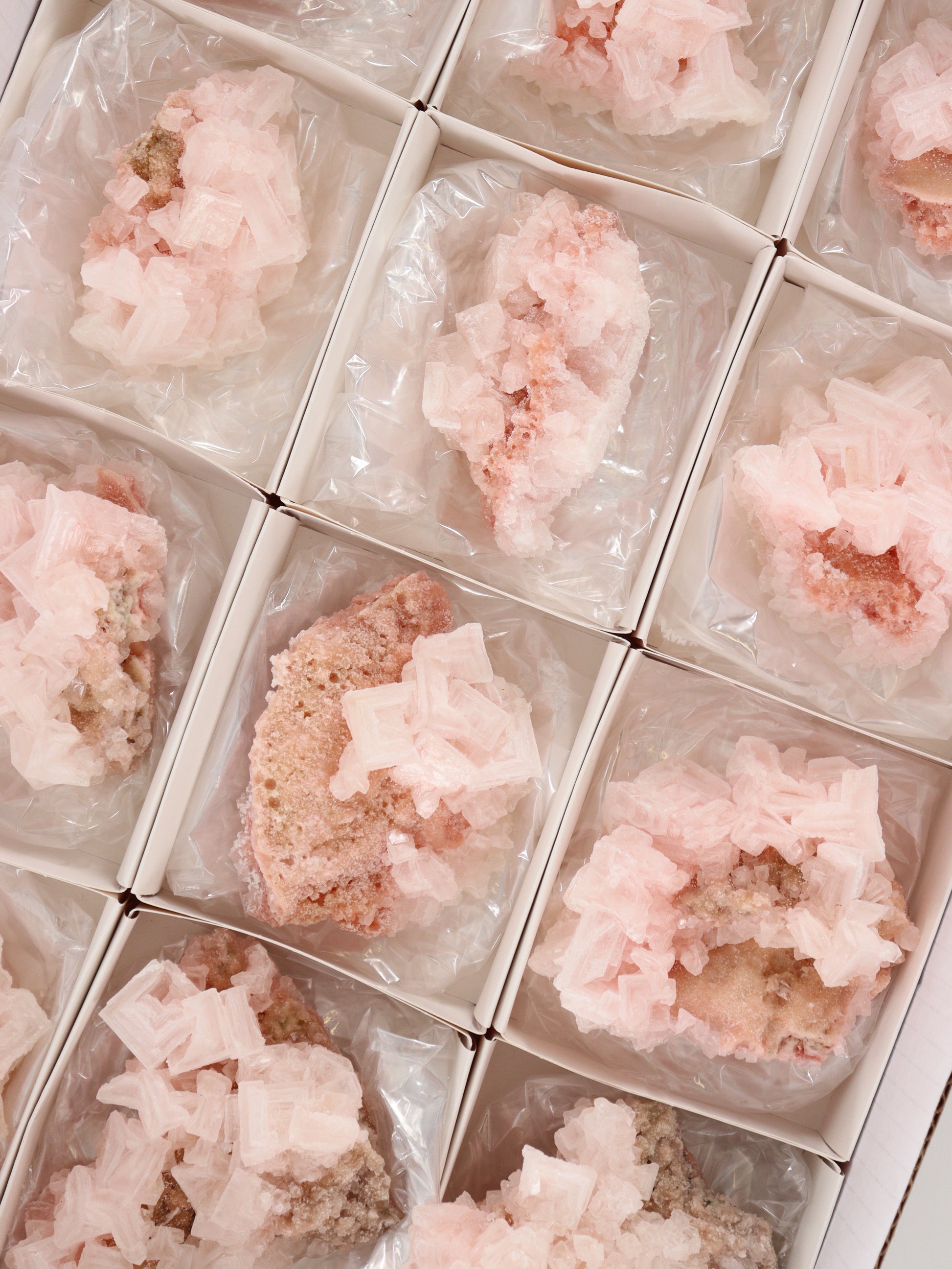 Halite Flat Set of 12 - Expert Supplier of Wholesale Crystals & Bulk Gemstones