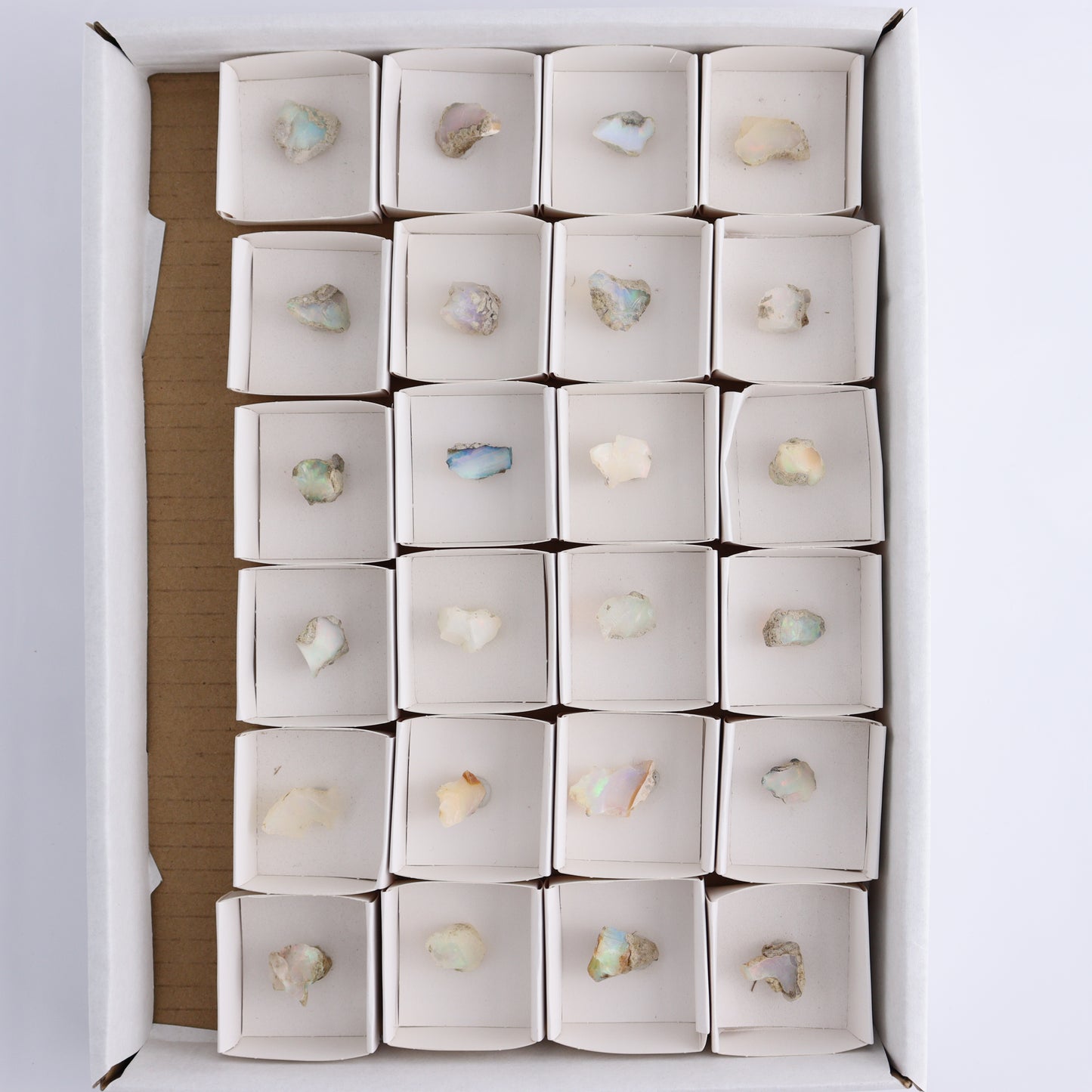 Ethiopian Opal Set of 24 - Expert Wholesale and Supplier of Wholesale Crystals & Bulk Gemstones, ["Ethiopia","ethiopian opal","Opal"]