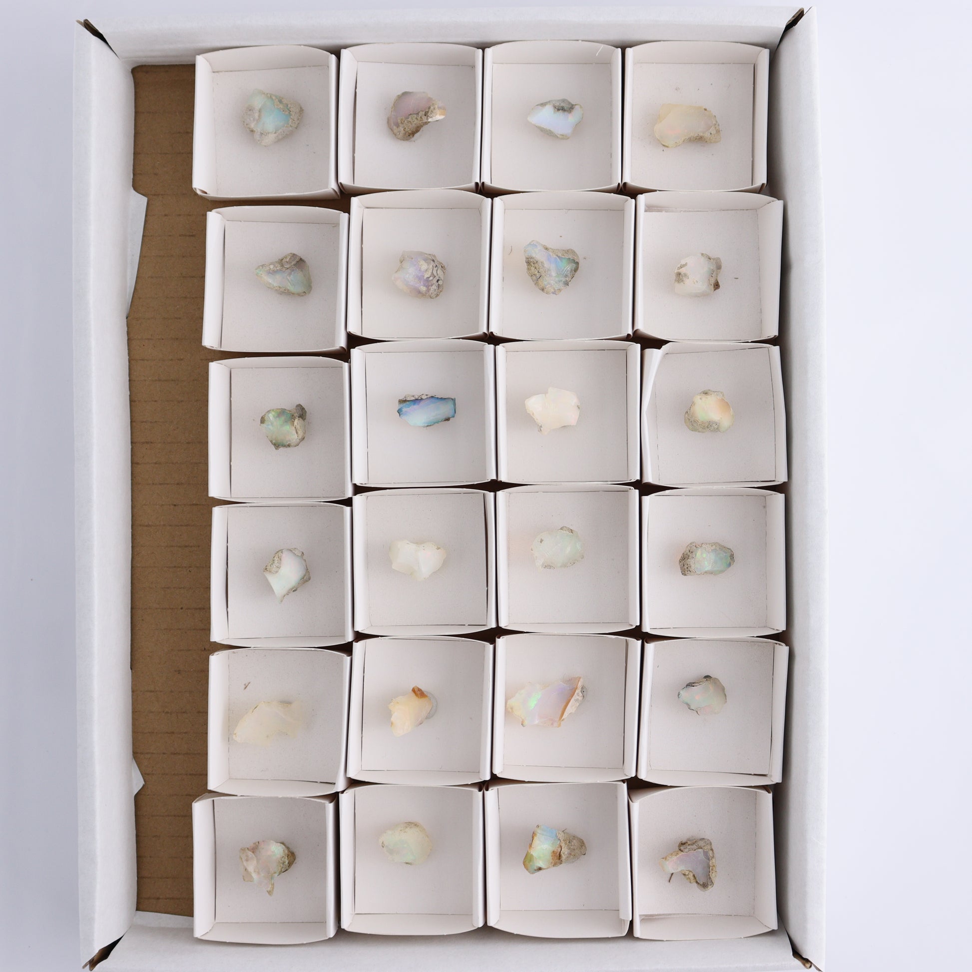 Ethiopian Opal Set of 24 - Expert Wholesale and Supplier of Wholesale Crystals & Bulk Gemstones, ["Ethiopia","ethiopian opal","Opal"]