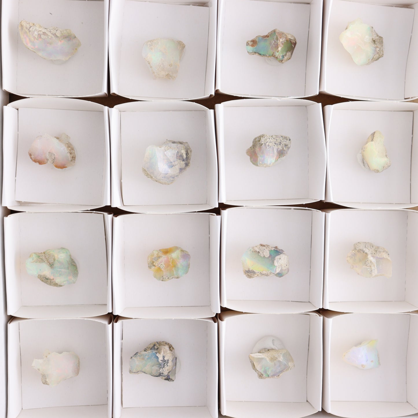 Ethiopian Opal Set of 24 - Expert Wholesale and Supplier of Wholesale Crystals & Bulk Gemstones, ["Ethiopia","ethiopian opal","Opal"]