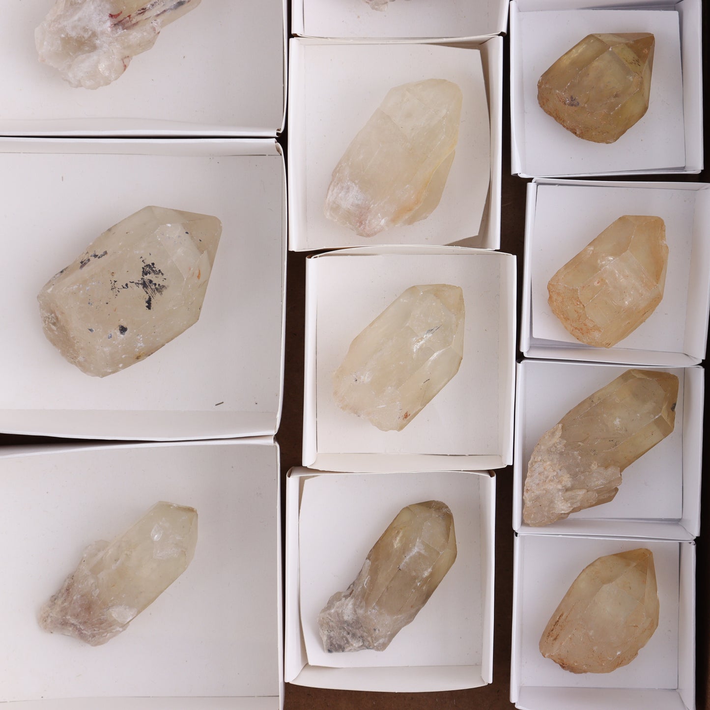 Congo Citrine Set of 12 - Expert Wholesale and Supplier of Wholesale Crystals & Bulk Gemstones, ["Citrine","Congo","Rough","Roughs"]