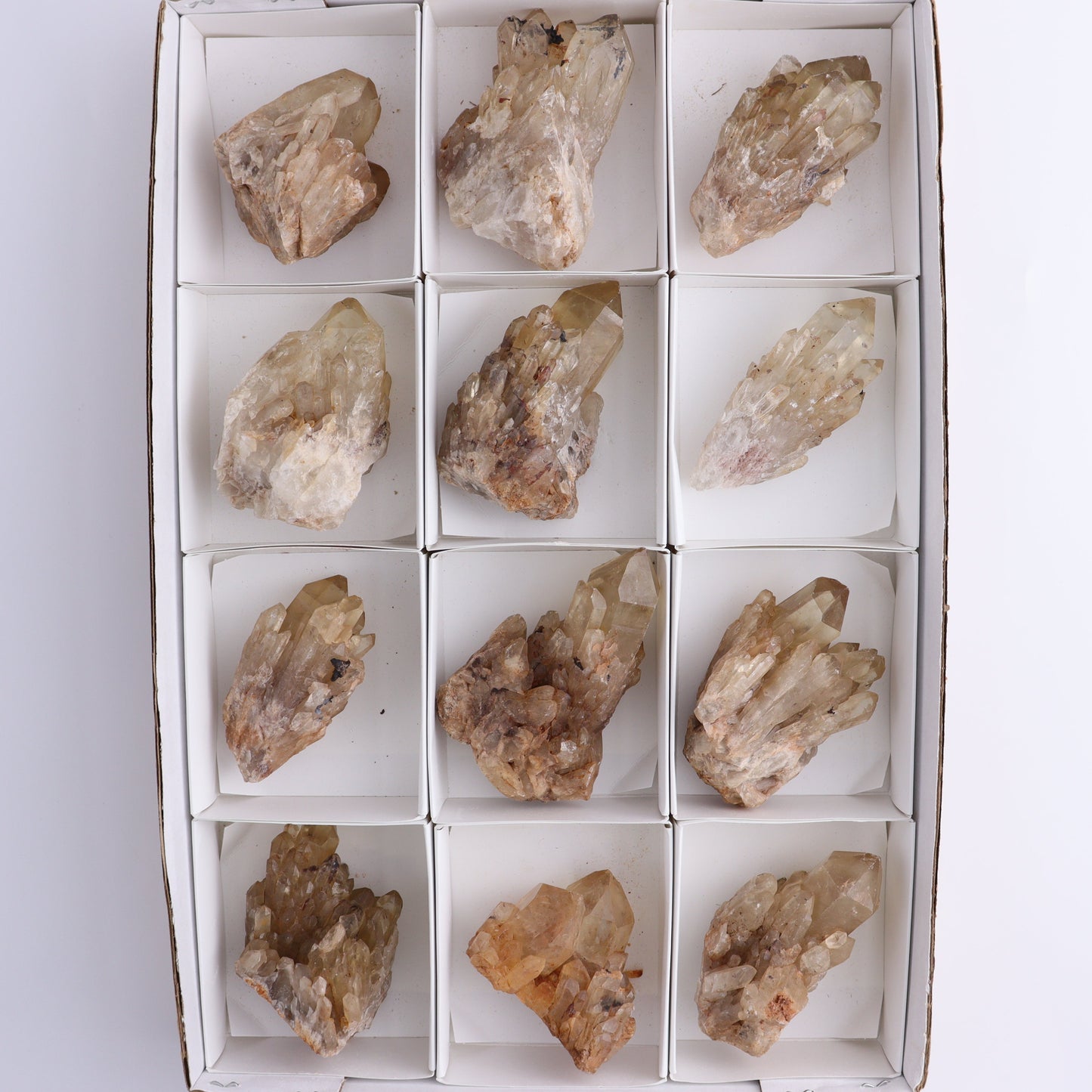 Congo Citrine Set of 12