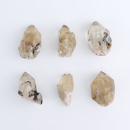 Congo Citrine Set of 24