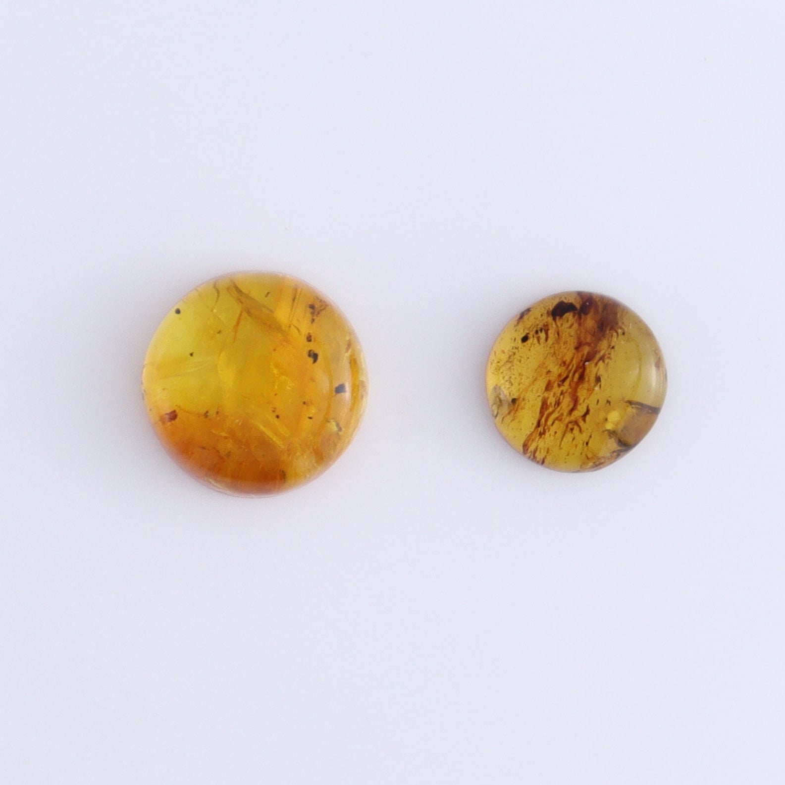 Chiapas Mexico Amber Cabs Set of 8 - Expert Wholesale and Supplier of Wholesale Crystals & Bulk Gemstones, ["Amber","Cabs","Chiapas Amber","Mexico"]