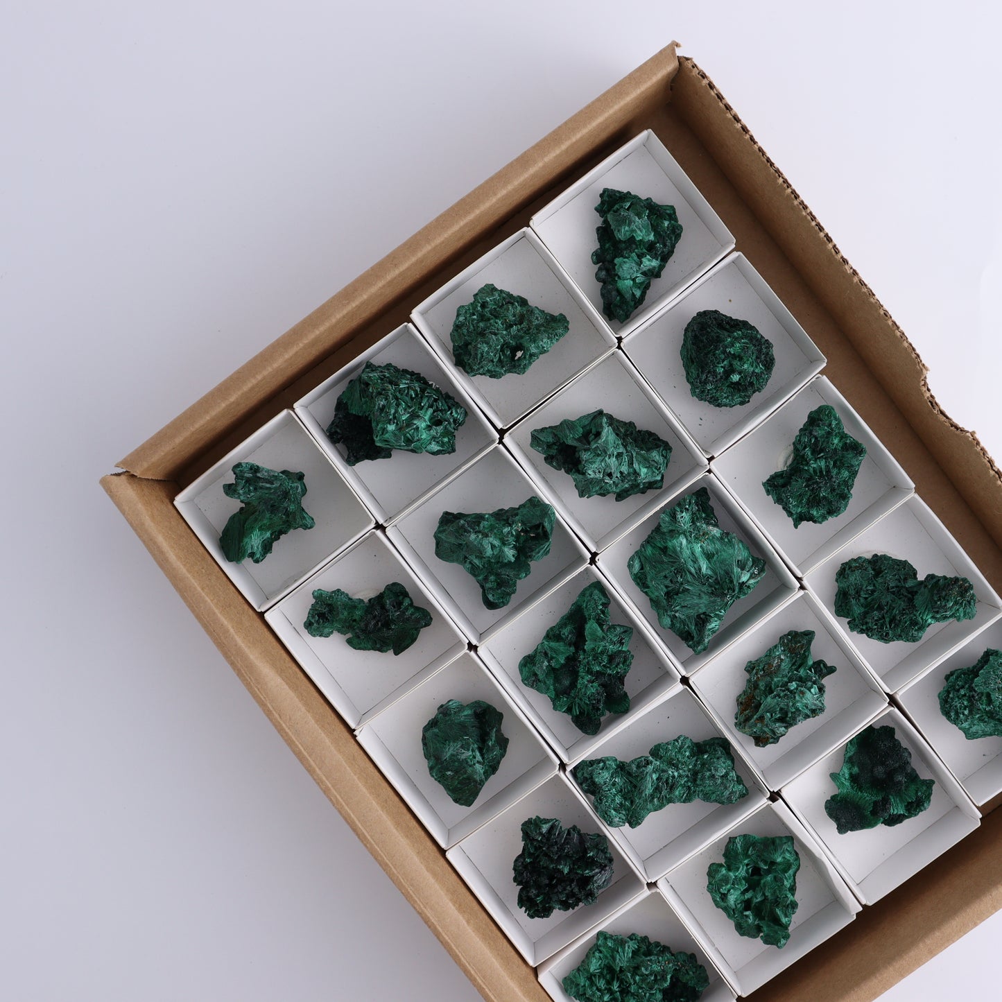 Malachite Freeforms Set of 20 - Expert Wholesale and Supplier of Wholesale Crystals & Bulk Gemstones, ["Freeform","Malachite","South Africa"]
