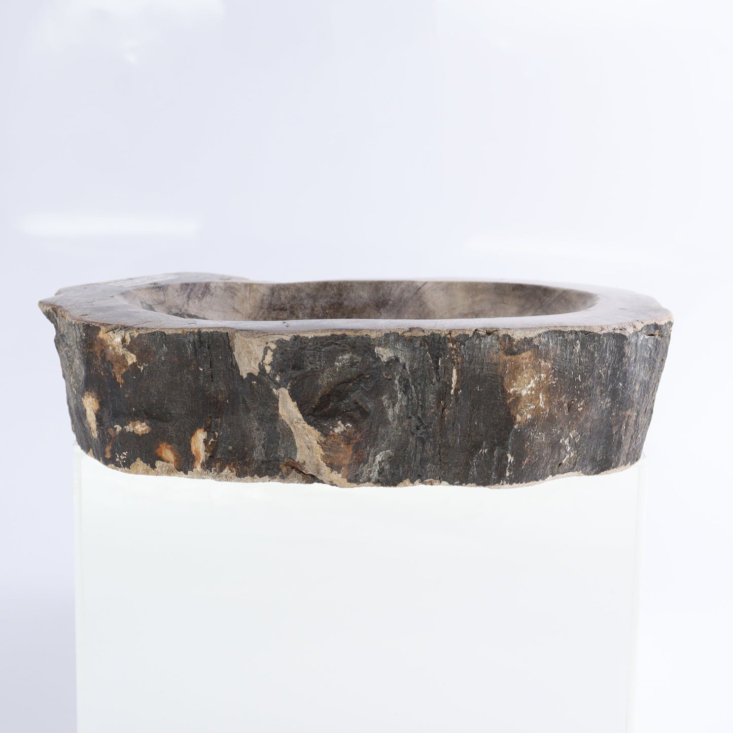 Petrified Wood Bowls Set of 2
