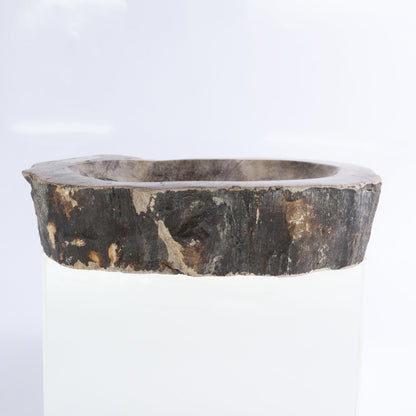 Petrified Wood Bowls Set of 2