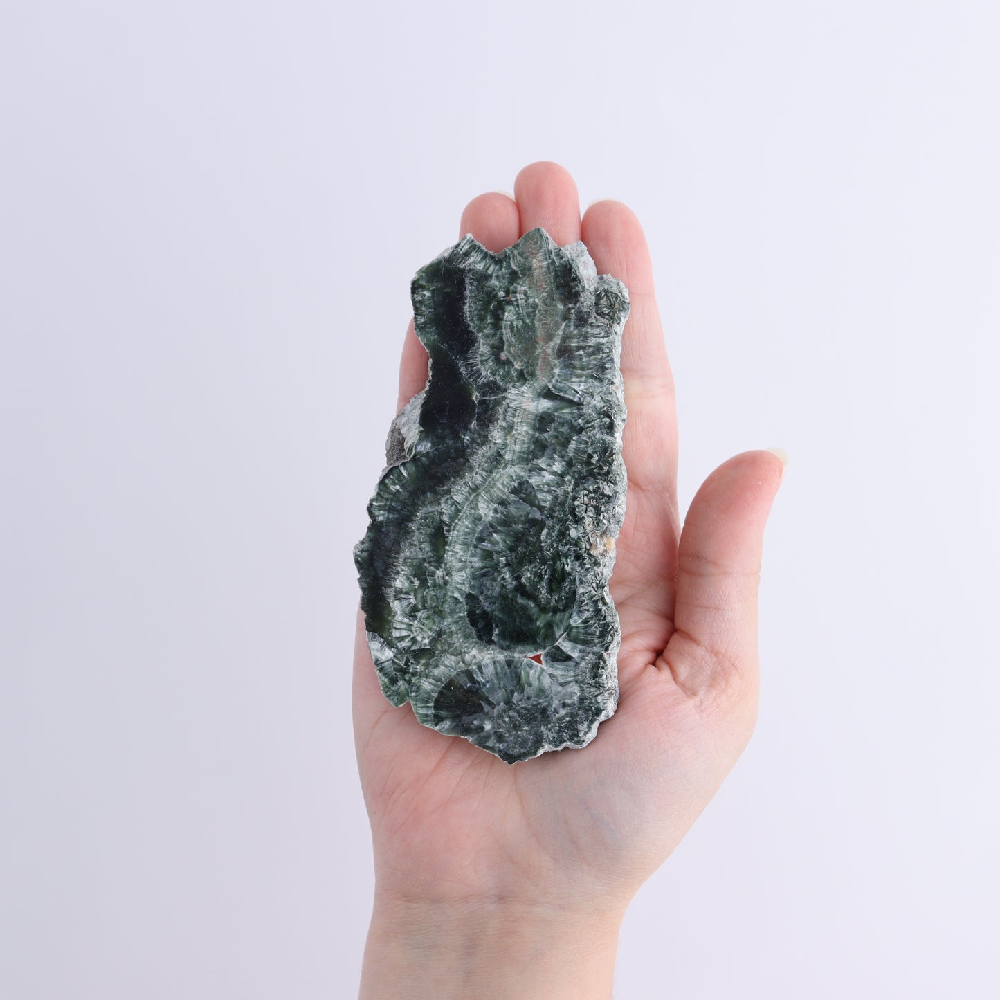Seraphinite Slices Set of 6 - Expert Wholesale and Supplier of Wholesale Crystals & Bulk Gemstones, ["Seraphinite","Slices and Slabs"]