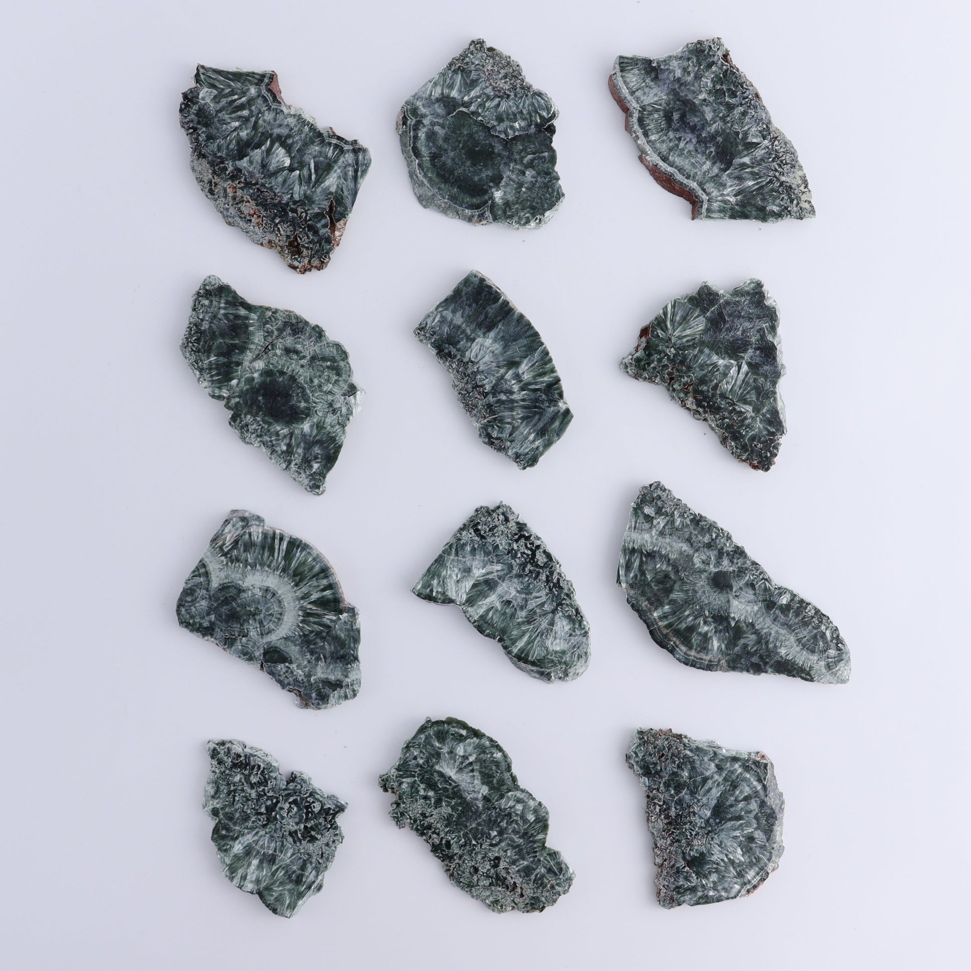 Seraphinite Slices Set of 12 - Expert Wholesale and Supplier of Wholesale Crystals & Bulk Gemstones, ["Russia","Seraphinite","Slices and Slabs"]