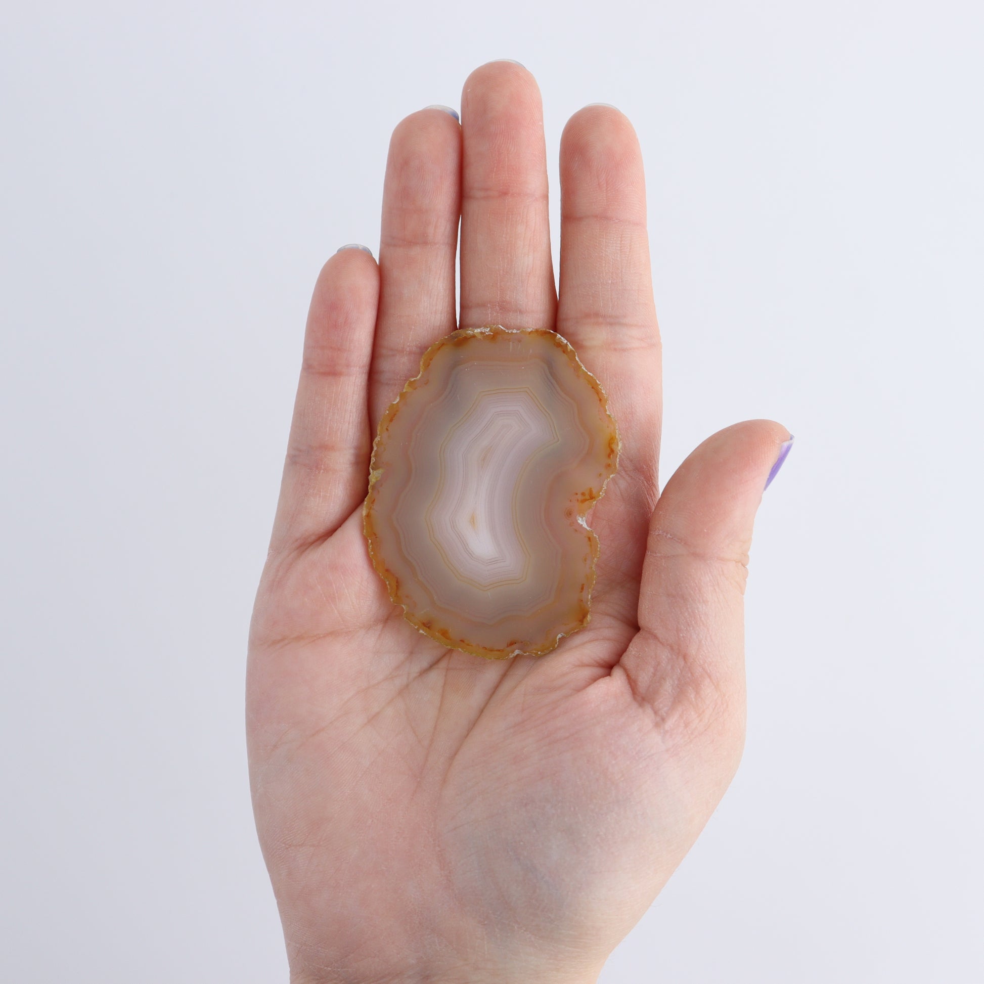 Iris Agate Slices Set of 8 - Expert Wholesale and Supplier of Wholesale Crystals & Bulk Gemstones, ["Agate","Iris Agate","Slices and Slabs"]