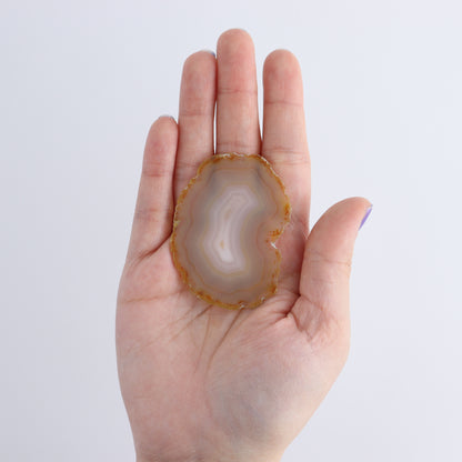Iris Agate Slices Set of 8 - Expert Wholesale and Supplier of Wholesale Crystals & Bulk Gemstones, ["Agate","Iris Agate","Slices and Slabs"]