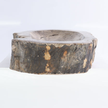 Petrified Wood Bowls Set of 2