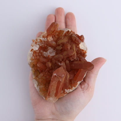 Tangerine Quartz Clusters Set of 9 - Expert Wholesale and Supplier of Wholesale Crystals & Bulk Gemstones, ["Clusters","Quartz","Tangerine Quartz"]
