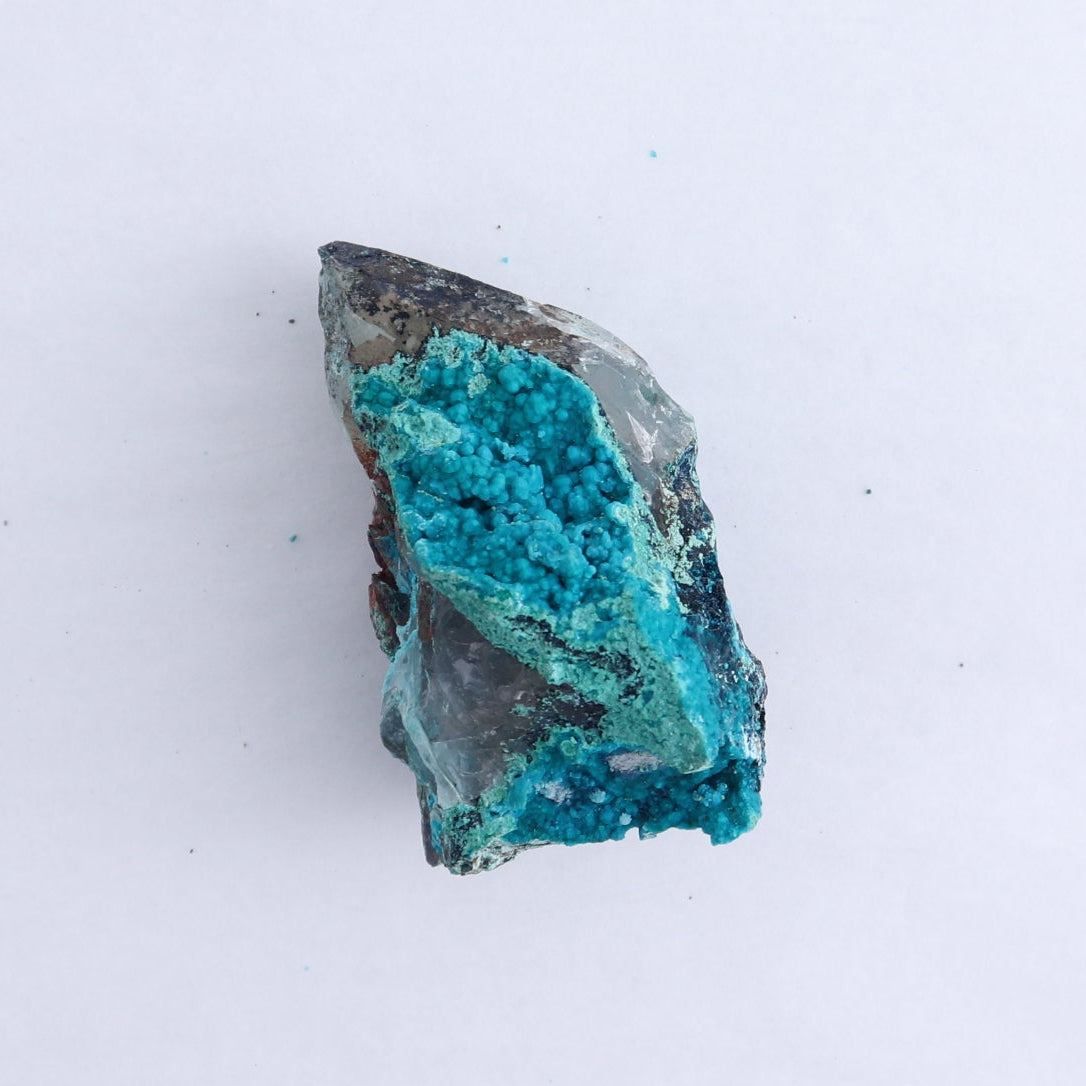 Chrysocolla on Quartz Roughs Set of 6