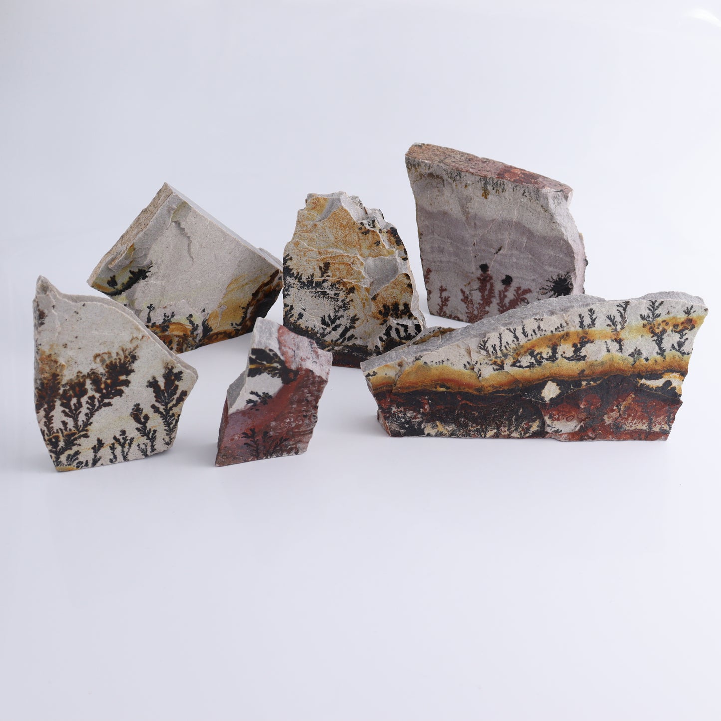 Dendrites Flat Set of 6 - Expert Wholesale and Supplier of Wholesale Crystals & Bulk Gemstones, ["Dendrite","Flats"]