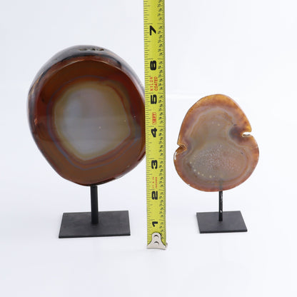 Agate on Pins Set of 4 - Expert Wholesale and Supplier of Wholesale Crystals & Bulk Gemstones, ["Agate","Brazil","close_50","On Pins"]