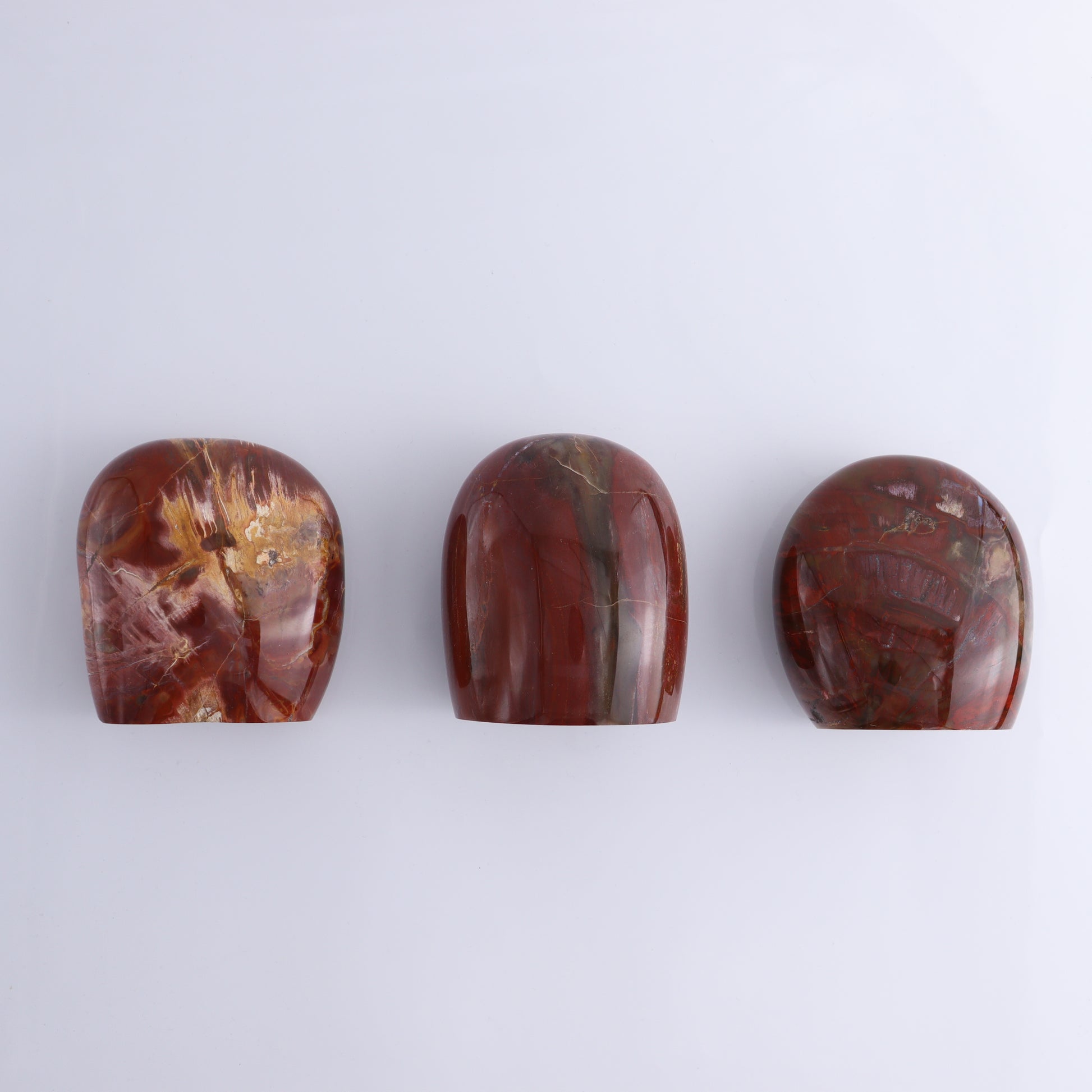 Petrified Wood Freeform Set of 3 - Expert Wholesale and Supplier of Wholesale Crystals & Bulk Gemstones, ["Freeforms","Madagascar","Petrified Wood"]