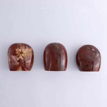 Petrified Wood Freeform Set of 3 - Expert Wholesale and Supplier of Wholesale Crystals & Bulk Gemstones, ["Freeforms","Madagascar","Petrified Wood"]