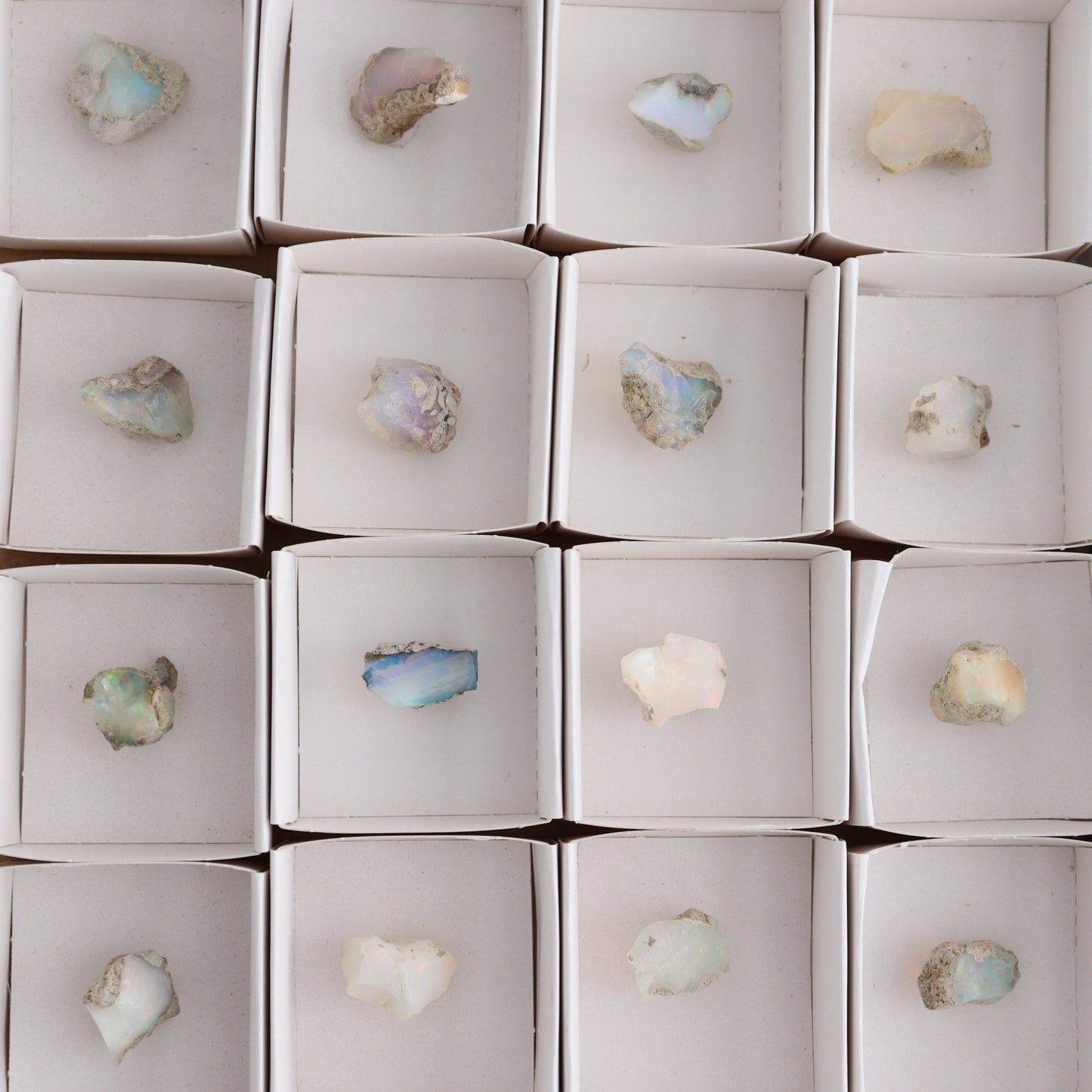 Ethiopian Opal Set of 24 - Expert Wholesale and Supplier of Wholesale Crystals & Bulk Gemstones, ["Ethiopia","ethiopian opal","Opal"]