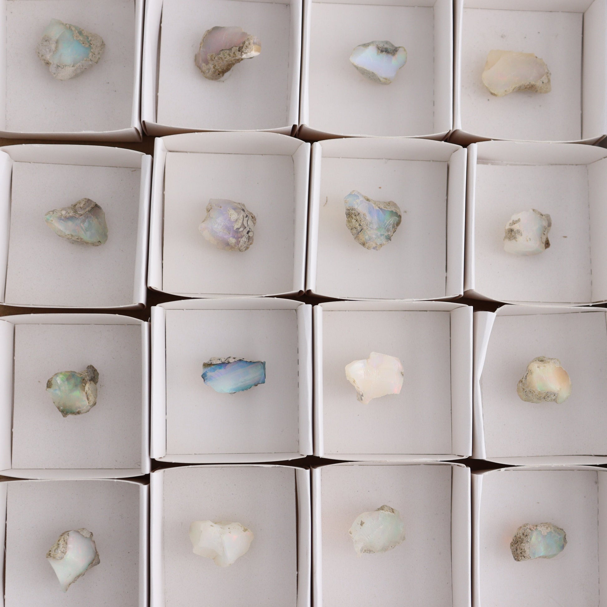 Ethiopian Opal Set of 24 - Expert Wholesale and Supplier of Wholesale Crystals & Bulk Gemstones, ["Ethiopia","ethiopian opal","Opal"]
