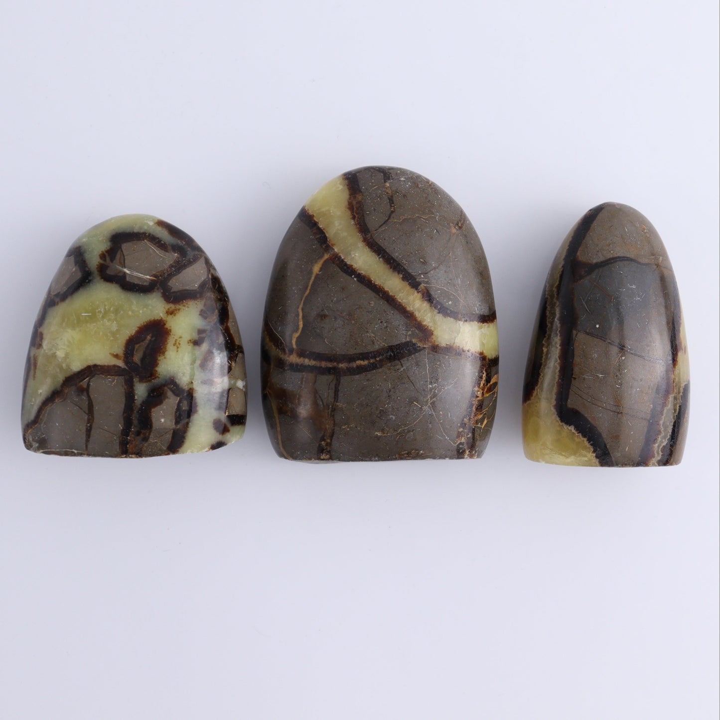 Septarian Freeforms Set of 18 - Expert Wholesale and Supplier of Wholesale Crystals & Bulk Gemstones, ["Flats","Freeforms","Madagascar","Septarian"]