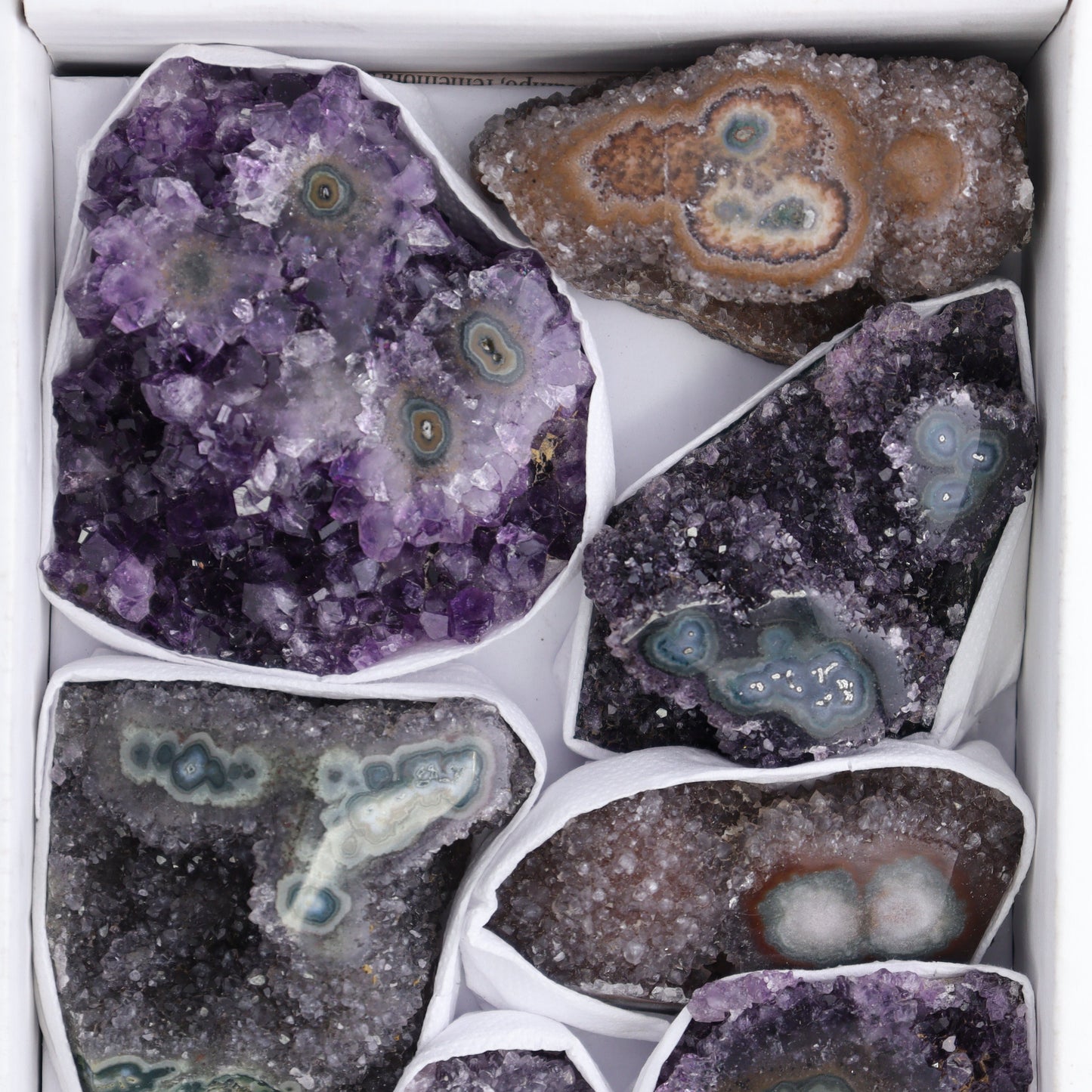 Uruguay Amethyst Clusters with "Eyes" Flat of 10 - Expert Wholesale and Supplier of Wholesale Crystals & Bulk Gemstones, ["Amethyst","Amethyst Eyes","Clusters","Uruguay"]