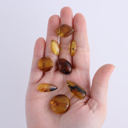 Chiapas Mexico Amber Cabs Set of 8 - Expert Wholesale and Supplier of Wholesale Crystals & Bulk Gemstones, ["Amber","Cabs","Chiapas Amber","Mexico"]