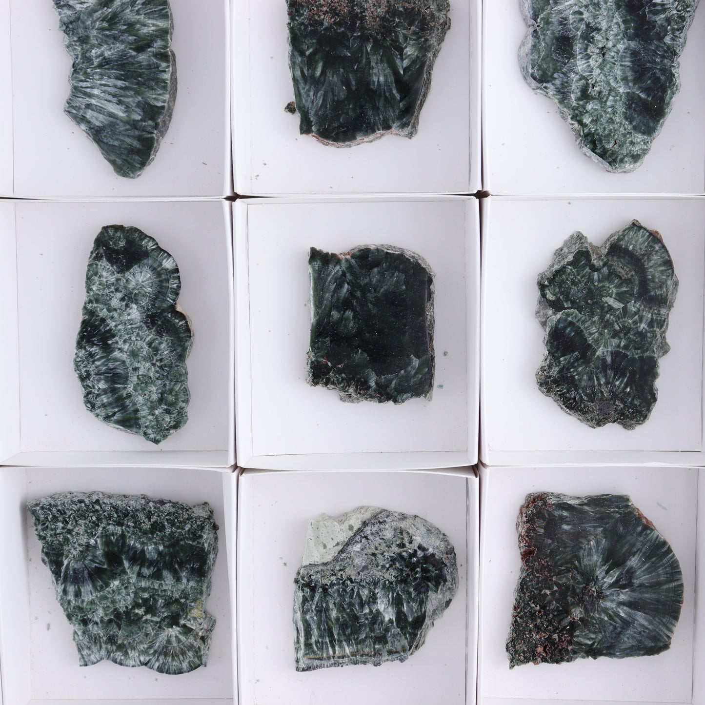Seraphinite Slices Set of 12 - Expert Wholesale and Supplier of Wholesale Crystals & Bulk Gemstones, ["Russia","Seraphinite","Slices and Slabs"]