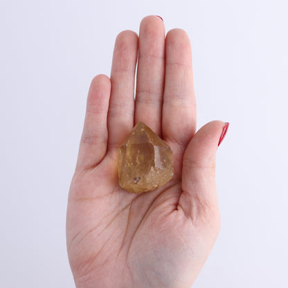 Congo Citrine Set of 12 - Expert Wholesale and Supplier of Wholesale Crystals & Bulk Gemstones, ["Citrine","Congo","Rough","Roughs"]