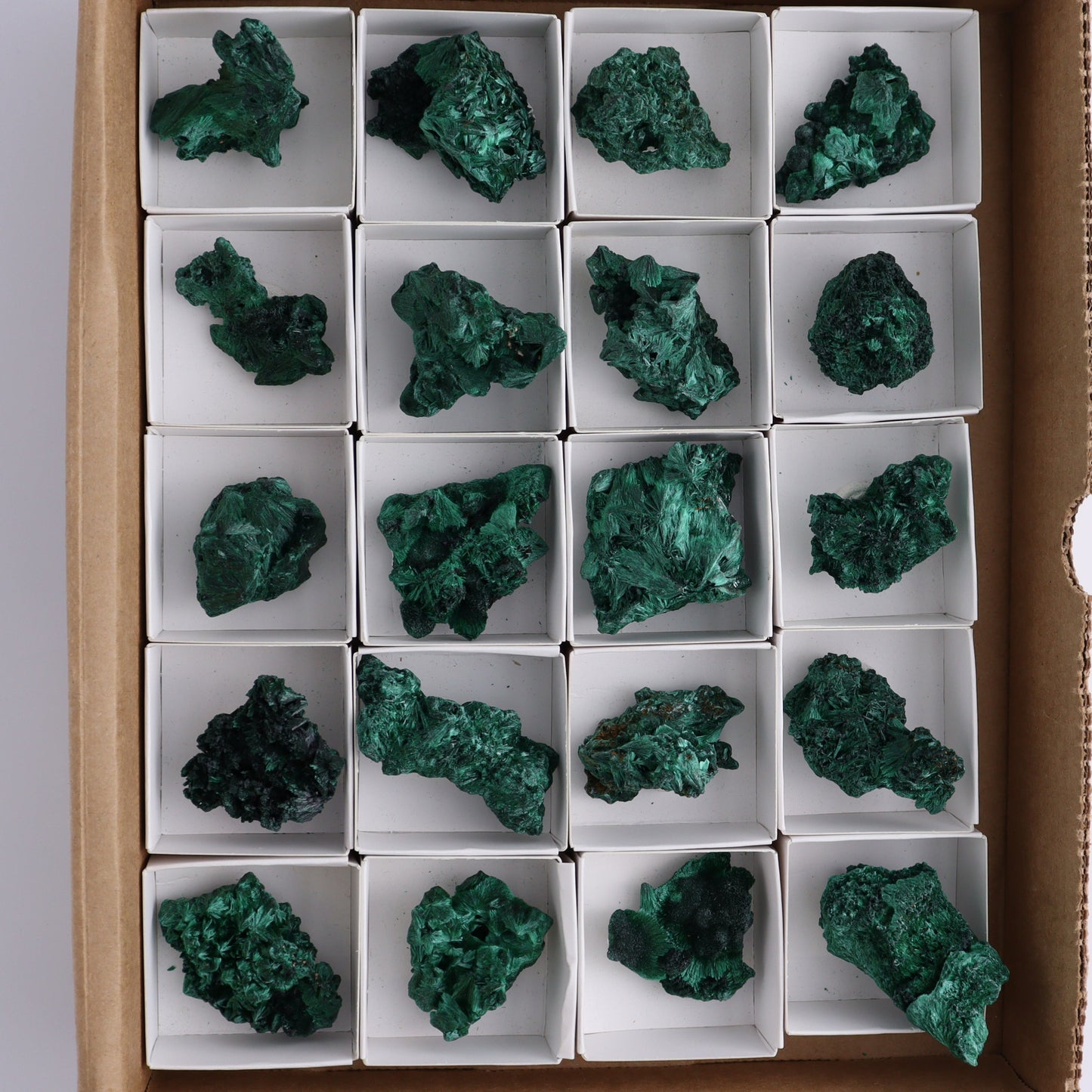 Malachite Freeforms Set of 20 - Expert Wholesale and Supplier of Wholesale Crystals & Bulk Gemstones, ["Freeform","Malachite","South Africa"]